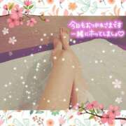 ヒメ日記 2025/05/23 21:11 投稿 うみ 金瓶梅-きんぺいぱい-