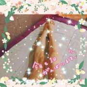 ヒメ日記 2025/06/07 09:01 投稿 うみ 金瓶梅-きんぺいぱい-