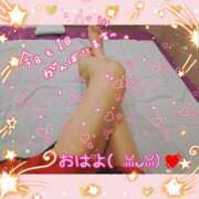 ヒメ日記 2025/06/09 06:00 投稿 うみ 金瓶梅-きんぺいぱい-