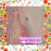 ヒメ日記 2025/07/26 22:59 投稿 うみ 金瓶梅-きんぺいぱい-