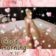 ヒメ日記 2025/09/06 08:15 投稿 うみ 金瓶梅-きんぺいぱい-