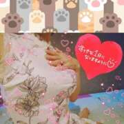 ヒメ日記 2025/09/18 08:09 投稿 うみ 金瓶梅-きんぺいぱい-