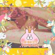 ヒメ日記 2025/09/20 08:32 投稿 うみ 金瓶梅-きんぺいぱい-