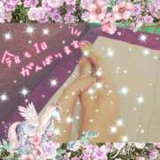 ヒメ日記 2025/09/29 11:22 投稿 うみ 金瓶梅-きんぺいぱい-