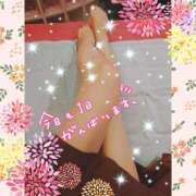 ヒメ日記 2025/11/03 12:15 投稿 うみ 金瓶梅-きんぺいぱい-