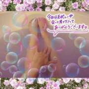 ヒメ日記 2025/11/19 00:49 投稿 うみ 金瓶梅-きんぺいぱい-