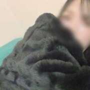 ヒメ日記 2025/11/19 11:25 投稿 みさ 素人系イメージSOAP彼女感大宮館