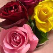 石崎しずく（元安仁屋） 12月27日のお客様へ 鶯谷デッドボール