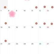 ヒメ日記 2025/03/26 18:03 投稿 うみ CECIL