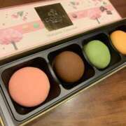 ヒメ日記 2025/04/04 18:14 投稿 うみ CECIL