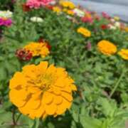 ヒメ日記 2025/04/29 15:04 投稿 うみ CECIL