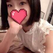 ヒメ日記 2025/06/07 11:32 投稿 うみ CECIL