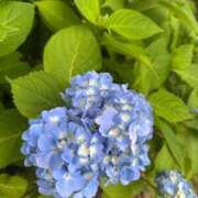 ヒメ日記 2025/06/12 13:49 投稿 うみ CECIL