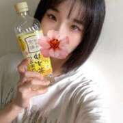 ヒメ日記 2025/06/30 06:00 投稿 うみ CECIL