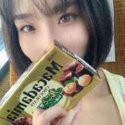 ヒメ日記 2025/07/29 17:40 投稿 うみ CECIL