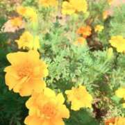 ヒメ日記 2025/08/01 19:19 投稿 うみ CECIL