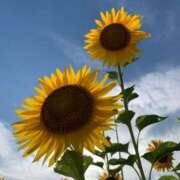 ヒメ日記 2025/08/07 18:39 投稿 うみ CECIL