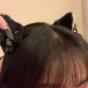 ヒメ日記 2025/10/31 05:56 投稿 うみ CECIL