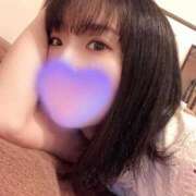 ヒメ日記 2026/02/20 05:45 投稿 うみ CECIL