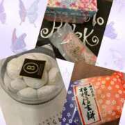 ヒメ日記 2026/03/08 10:00 投稿 うみ CECIL