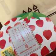 ヒメ日記 2026/03/14 17:08 投稿 うみ CECIL