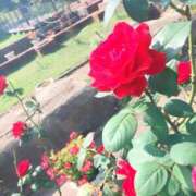 ヒメ日記 2026/03/23 19:20 投稿 うみ CECIL