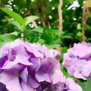 ヒメ日記 2026/07/03 08:17 投稿 うみ CECIL