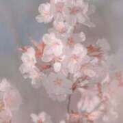 ヒメ日記 2025/03/07 09:29 投稿 みお チェックイン素人専門大人女子