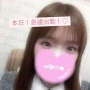 ヒメ日記 2025/04/01 09:19 投稿 みお チェックイン素人専門大人女子