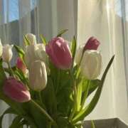 ヒメ日記 2025/05/10 01:29 投稿 みお チェックイン素人専門大人女子