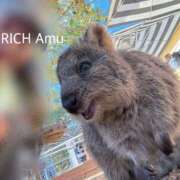 ヒメ日記 2026/02/06 11:13 投稿 Amu THE RICH