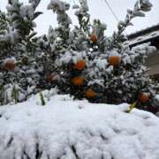 ヒメ日記 2026/02/08 08:20 投稿 Amu THE RICH