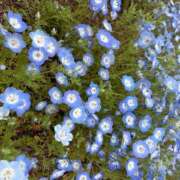 Amu こんにちは? THE RICH