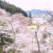 ヒメ日記 2025/04/06 20:15 投稿 かえで モアグループ宇都宮人妻花壇