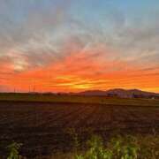 ヒメ日記 2025/10/12 21:49 投稿 かえで モアグループ宇都宮人妻花壇