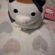 ヒメ日記 2025/03/19 20:32 投稿 にこ いきなりラブ彼女