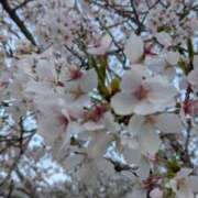 ヒメ日記 2025/04/14 21:03 投稿 にこ いきなりラブ彼女