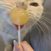 ヒメ日記 2025/06/12 12:02 投稿 にこ いきなりラブ彼女