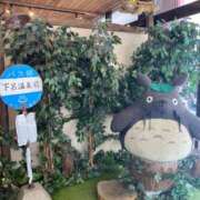 みい 旅🚗  DOLCE