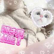 ヒメ日記 2025/01/17 20:15 投稿 つばめ ぽちゃカワ女子専門店宇都宮店