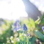 ヒメ日記 2025/02/14 09:41 投稿 れな X-PARTY