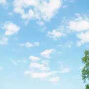 ヒメ日記 2025/05/15 09:02 投稿 れな X-PARTY