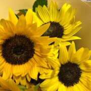 ヒメ日記 2025/08/12 08:01 投稿 れな X-PARTY