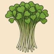 ヒメ日記 2025/09/18 08:11 投稿 れな X-PARTY