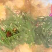 ヒメ日記 2025/03/03 23:59 投稿 かなこ 吉祥寺ミセス・シンデレラ（シンデレラグループ）