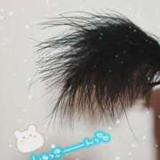 ヒメ日記 2025/04/01 22:50 投稿 かなこ 吉祥寺ミセス・シンデレラ（シンデレラグループ）