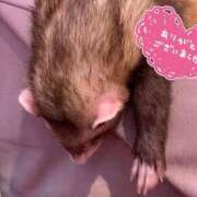 ヒメ日記 2025/12/11 23:17 投稿 かなこ 吉祥寺ミセス・シンデレラ（シンデレラグループ）