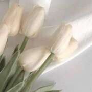 ヒメ日記 2025/03/26 17:19 投稿 ゆりあ 東京エステコレクション 新橋・銀座