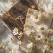 ヒメ日記 2025/04/03 19:22 投稿 ゆりあ 東京エステコレクション 新橋・銀座