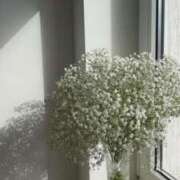 ヒメ日記 2025/04/14 23:13 投稿 ゆりあ 東京エステコレクション 新橋・銀座